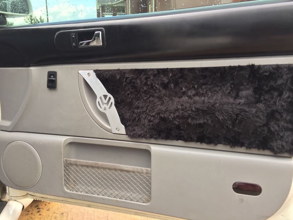 cracks in door panel | VW Beetle Forum