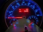 IMG_0567.jpg