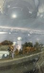 21104391_1647157378636475_1838358179_o.jpg