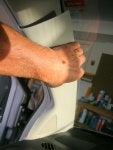 Leg Arm Hand Joint Foot